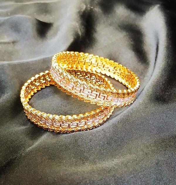 Timeless Shine, Everlasting Gold – Premium 2-Piece Bangle Kara Set